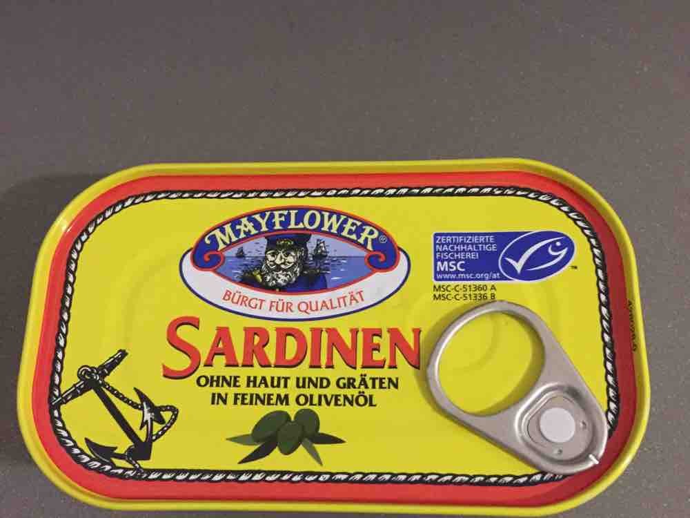 Sardinen ohne Haut und Gräten in Olivenöl von Bob1928 | Hochgeladen von: Bob1928