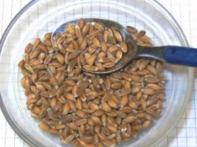 Hochgeladen von: Meleana