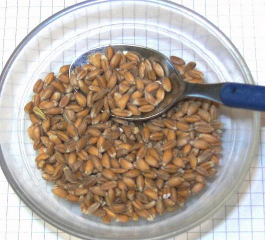 Hochgeladen von: Meleana Hochgeladen von: Meleana