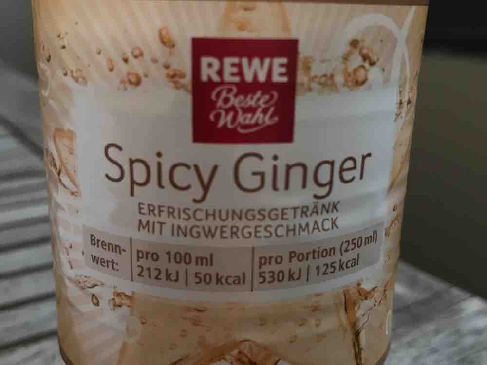 Spicy Ginger von hexeschrumpeldei106 | Hochgeladen von: hexeschrumpeldei106