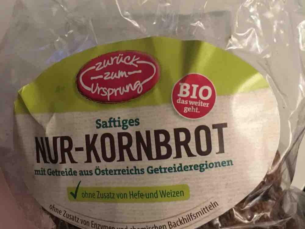 Bio Nur-Kornbrot, zurück zum Ursprung von ripodb | Hochgeladen von: ripodb