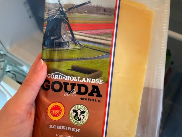 Noord-Hollandse Gouda alt, Gouda alt von Isabel3008 | Hochgeladen von: Isabel3008