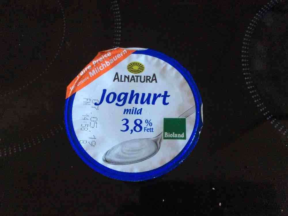 yoghurt, 3,8% fett von kiwiberlin | Hochgeladen von: kiwiberlin