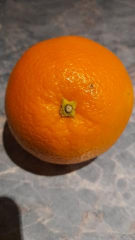 Apfelsine, frisch von Thomas von Nohfelden | Uploaded by: Thomas von Nohfelden