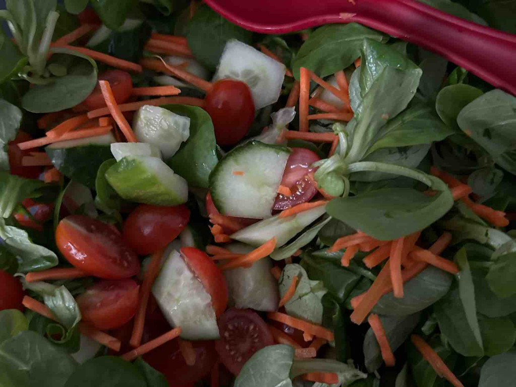 Bunter Salat, Feldsalat,Gurke,Tomate,Möhre von franzi11 | Hochgeladen von: franzi11