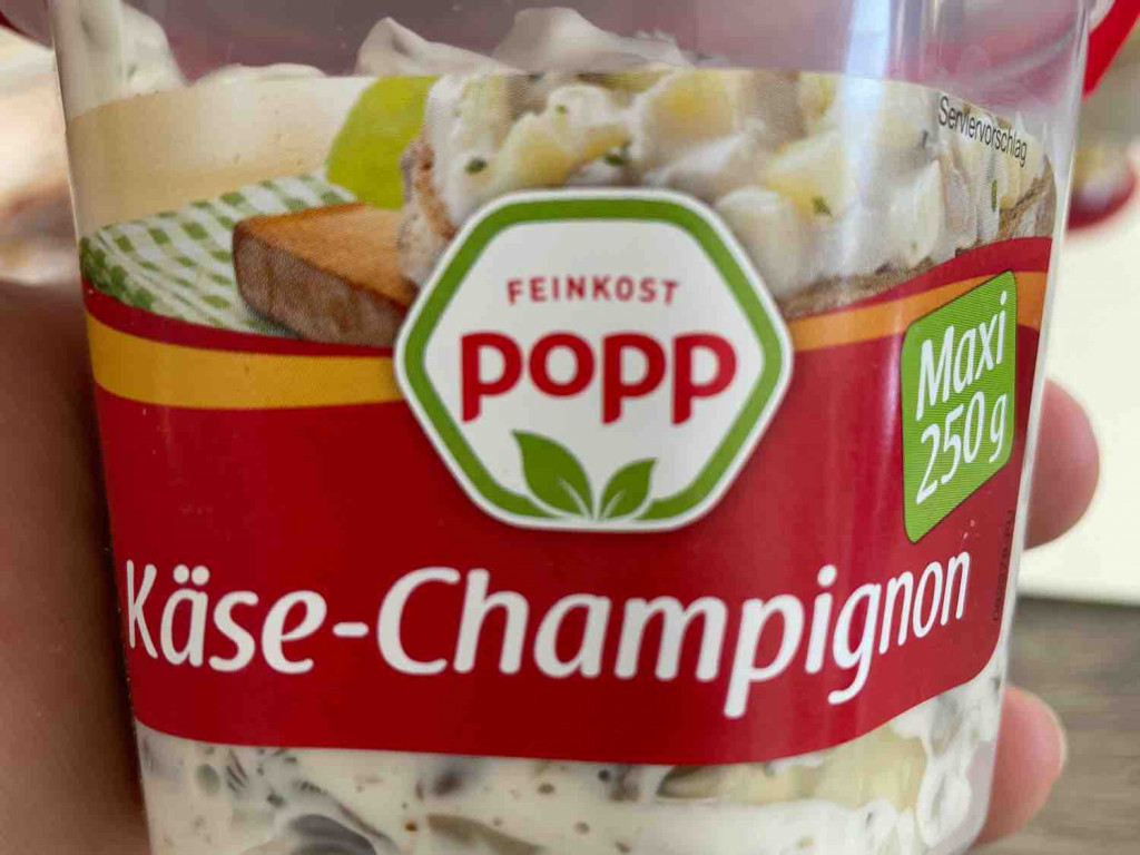 Käse Champignon Salat von esdeha | Hochgeladen von: esdeha