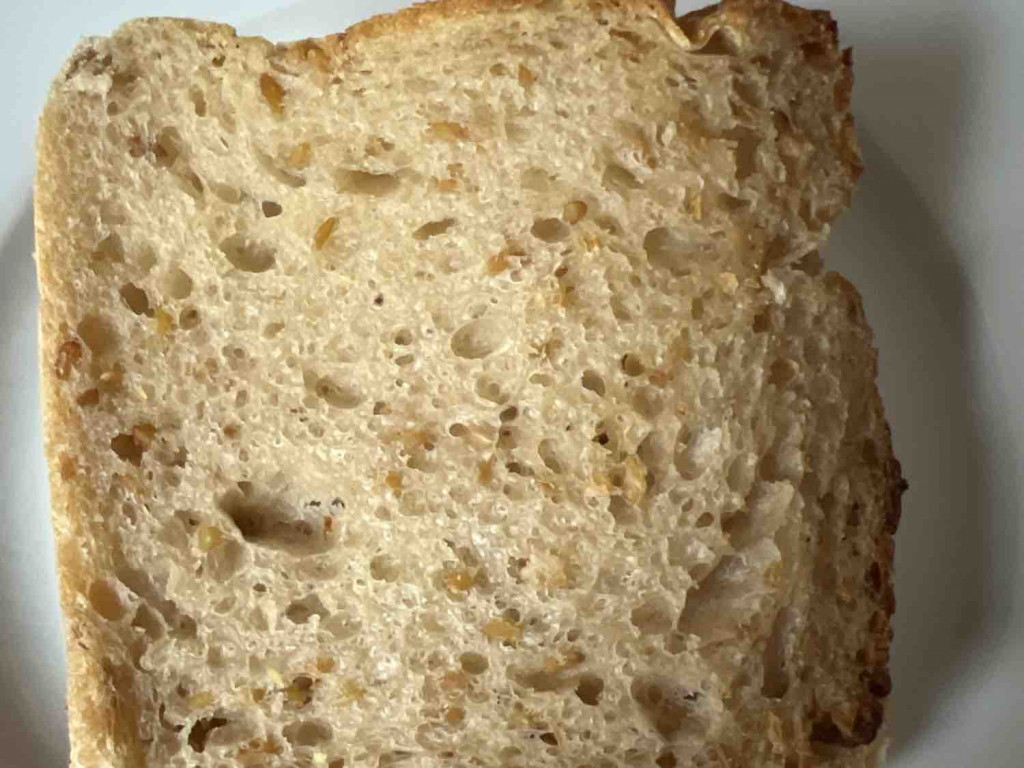 Goldleinsamen Brot von aiwaman | Hochgeladen von: aiwaman