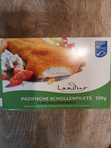 Pazifische Schollenfilet von Asereht94 | Hochgeladen von: Asereht94