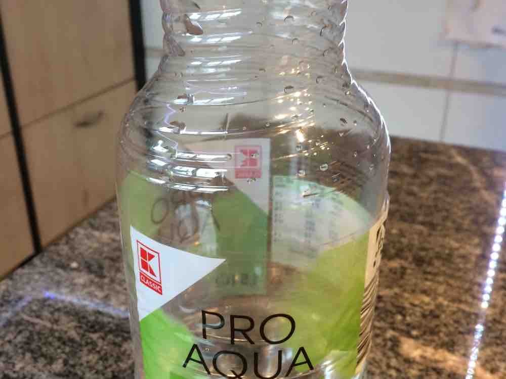 Pro Aqua Wasser Apfelgeschmack von Bahnmueller | Hochgeladen von: Bahnmueller