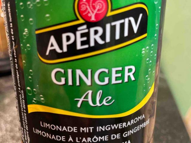 Ginger Ale, Aperitiv von Mergery | Hochgeladen von: Mergery