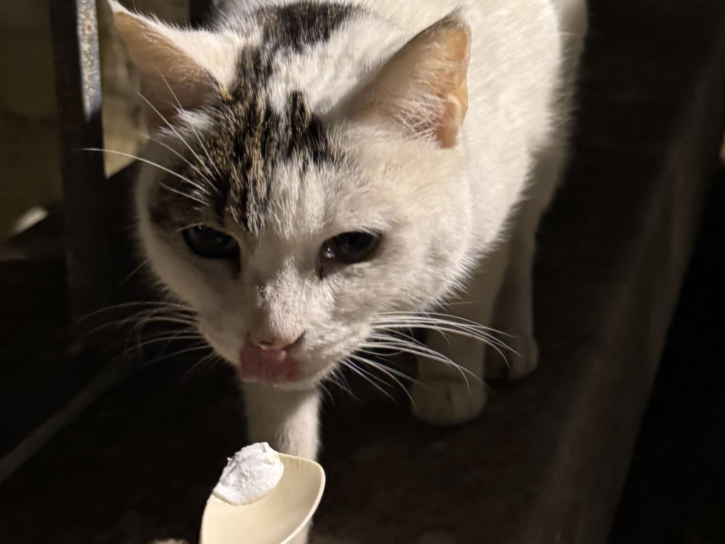 Hochgeladen von: chariee