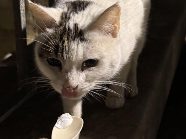 Hochgeladen von: chariee