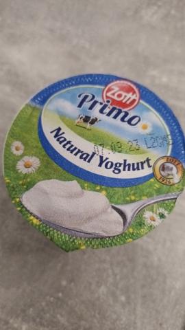 Natur joghurt von Krümel97 | Hochgeladen von: Krümel97