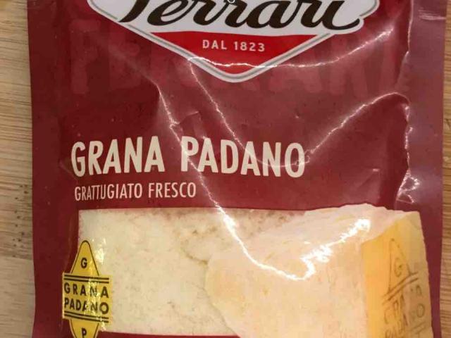 Parmesankäse (Grana Padano), Giovanni Ferrari von torresmarina | Hochgeladen von: torresmarina