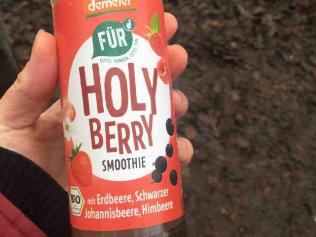 Holy Berry Smoothie, mit Erdbeere, Schwarze Johannisbeere, Himbe | Hochgeladen von: sandrajadasch640