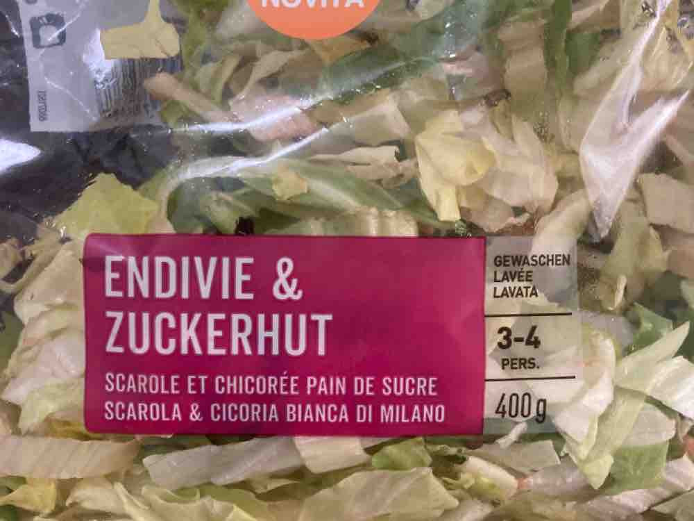 Endivie & Zuckerhut (Salat) von Scout | Hochgeladen von: Scout