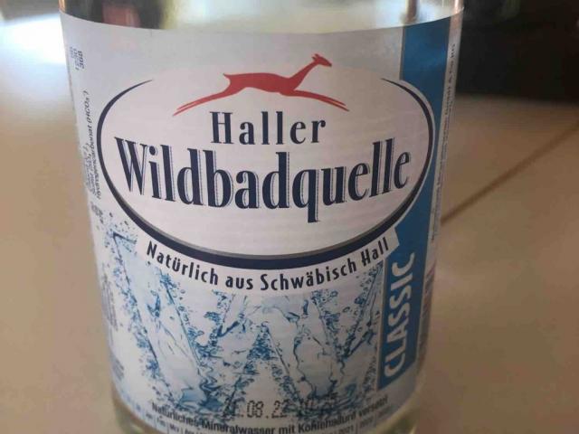 Haller Wildbadquelle von thomas.s | Hochgeladen von: thomas.s