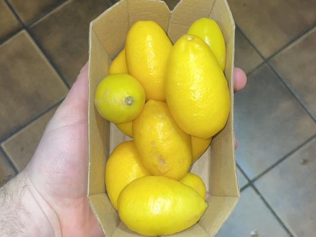 Hochgeladen von: xGio