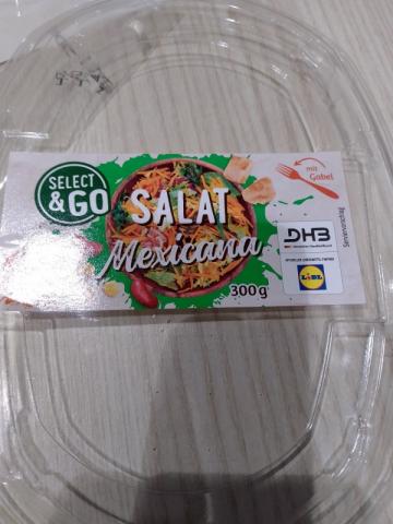 Salat mexicana | Hochgeladen von: jeehrich960