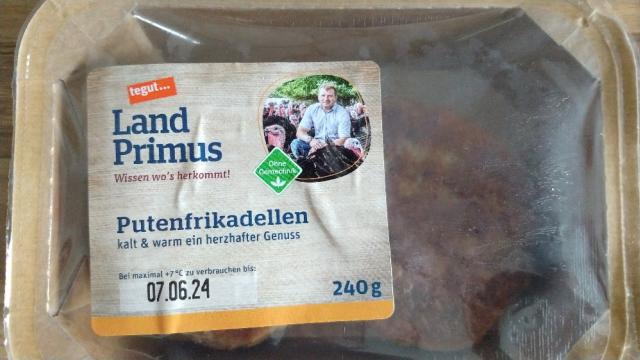 Putenfrikadellen, gebraten von nox9000 | Hochgeladen von: nox9000