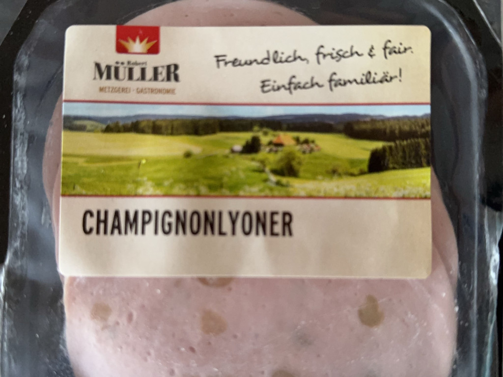 Hochgeladen von: Timo2211