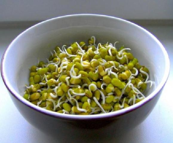 Beansprouts, Mungobohnenkeime | Hochgeladen von: Meleana