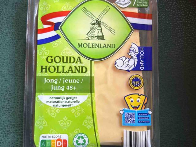 Käse / Gouda Holland, Jung 48+ von dlinke | Hochgeladen von: dlinke