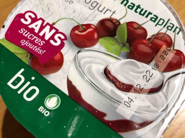 bio sans Joghurt, 3.8 % Fett von pesche390 | Hochgeladen von: pesche390