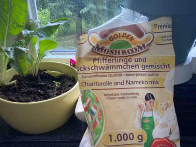 Pfifferlinge und Stockschwämmchen gemischt von luciaxma | Hochgeladen von: luciaxma