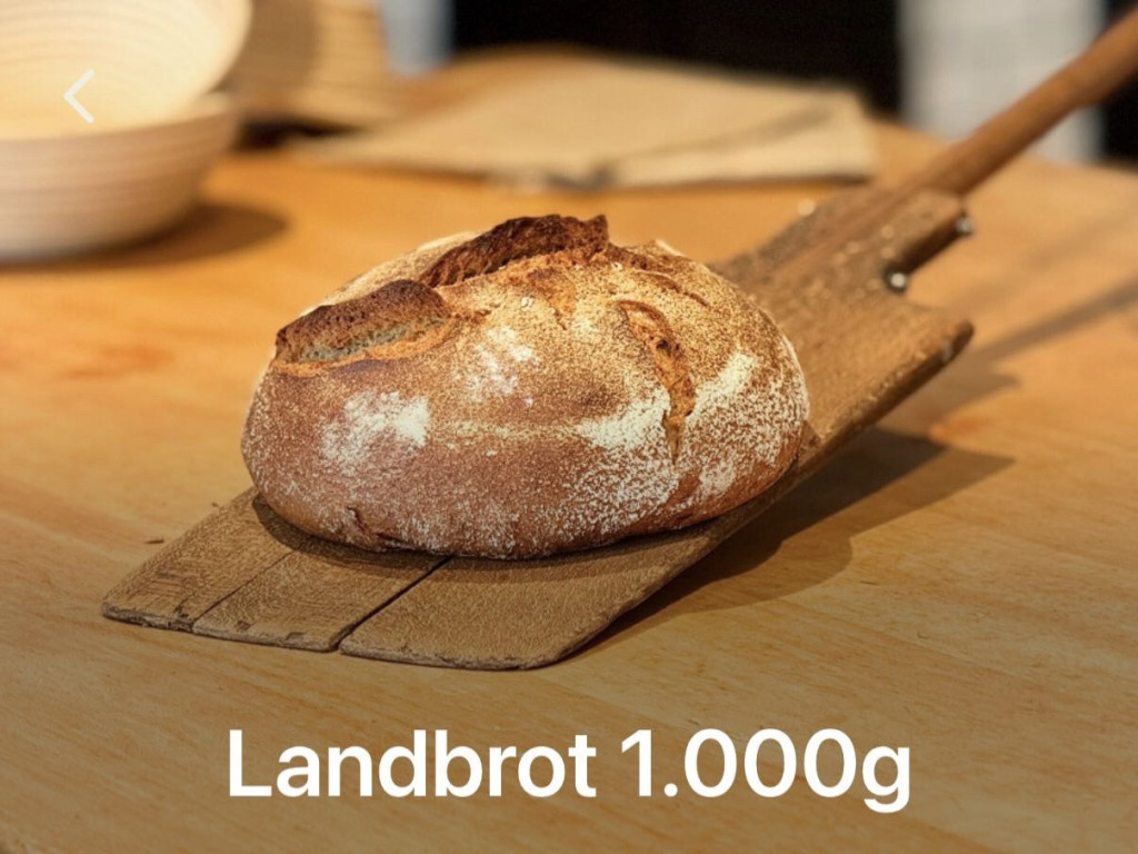 Hochgeladen von: annegressnich