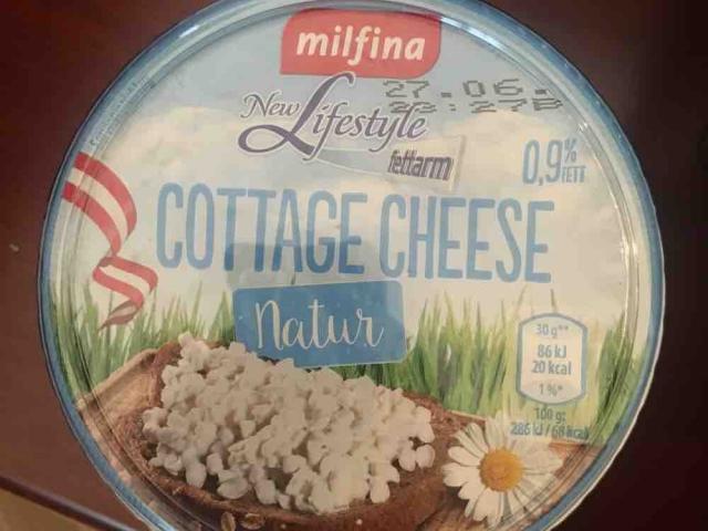 Cottage cheese, fettarm von ntdva | Hochgeladen von: ntdva