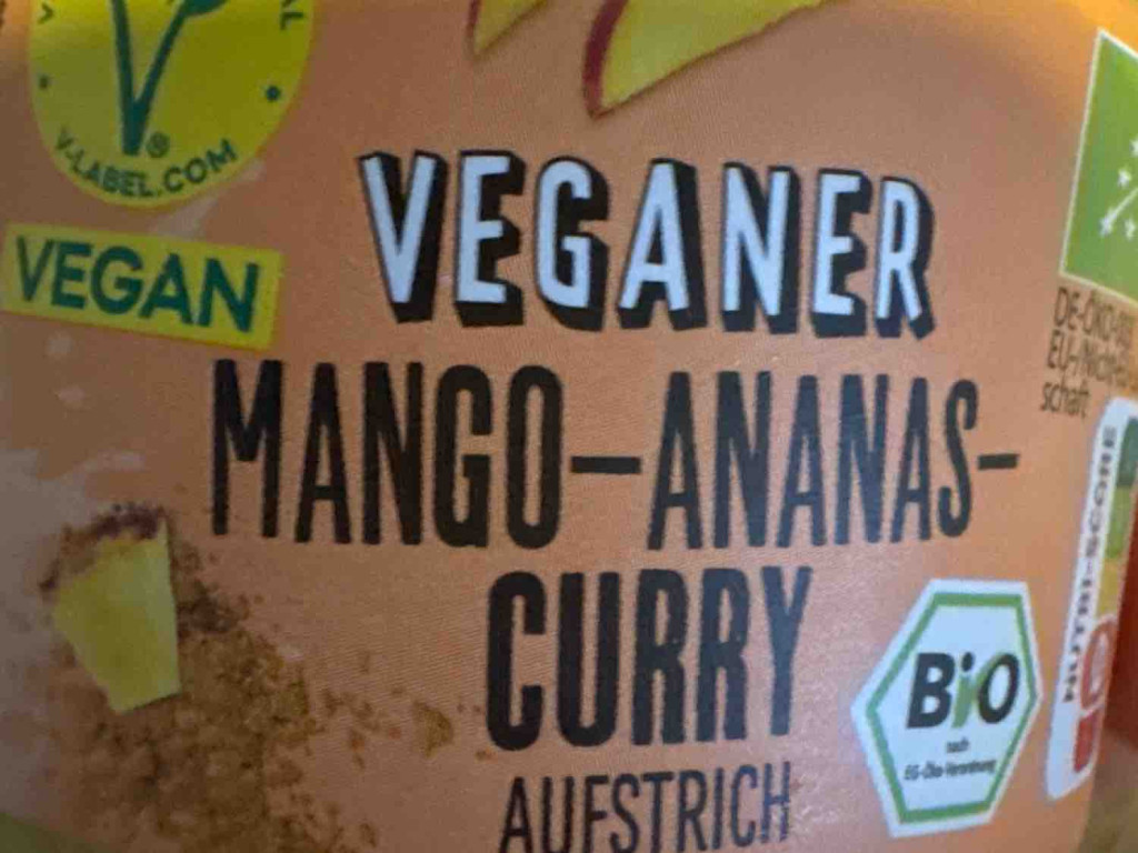 Mango Ananas Curry Aufstrich von sky1309 | Hochgeladen von: sky1309