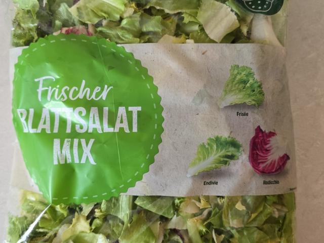 frischer Blattsalat mix von Lida93 | Hochgeladen von: Lida93