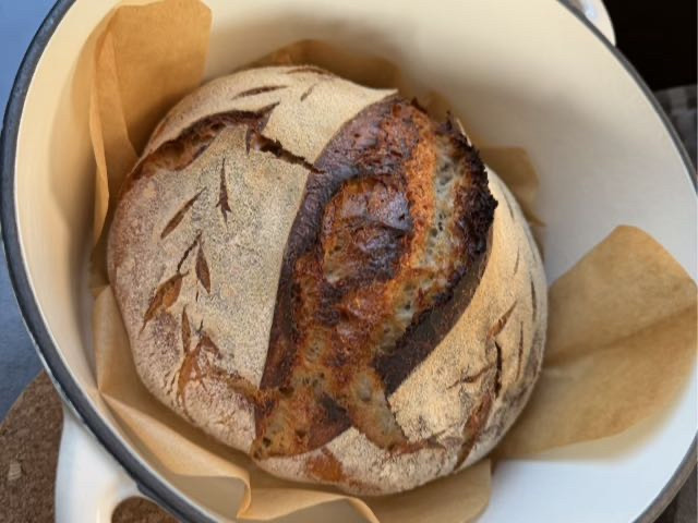 Hochgeladen von: aaliinaa18124