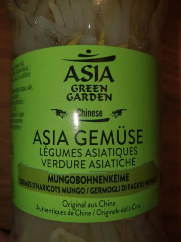 Asia Gemüse, mungobohnenkeime by david.neussl@gmx.at | Uploaded by: david.neussl@gmx.at