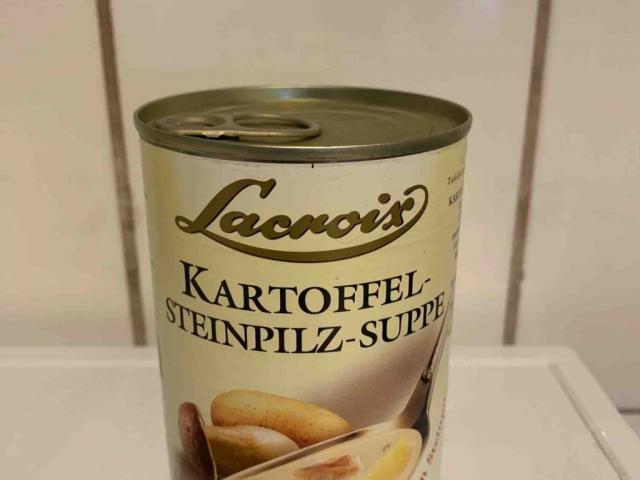 Kartoffel-Steinpilz-Suppe by andrefilimono | Uploaded by: andrefilimono