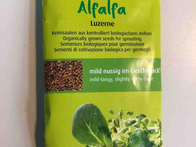 Luzerne Sprossen - Alfalfa von leonhennig | Hochgeladen von: leonhennig