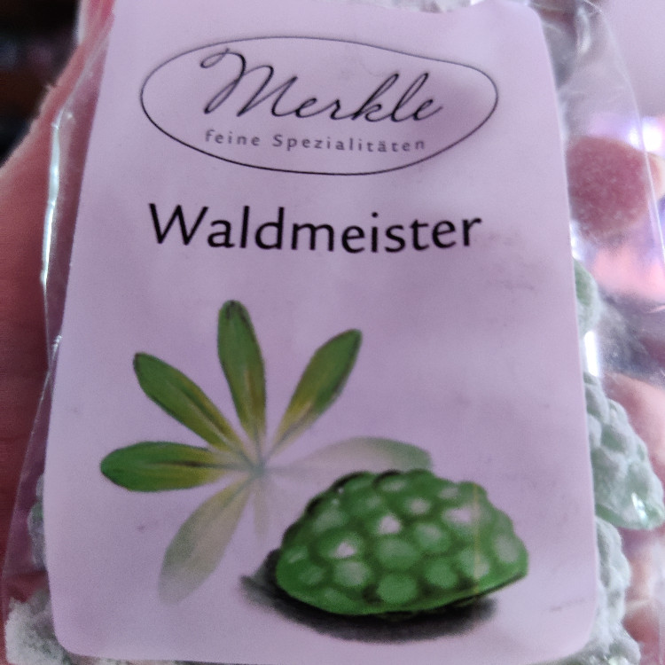 Waldmeister von Pummelfee Tilda | Hochgeladen von: Pummelfee Tilda