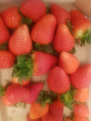 Erdbeere, fruchtig fein von louise oni | Hochgeladen von: louise oni