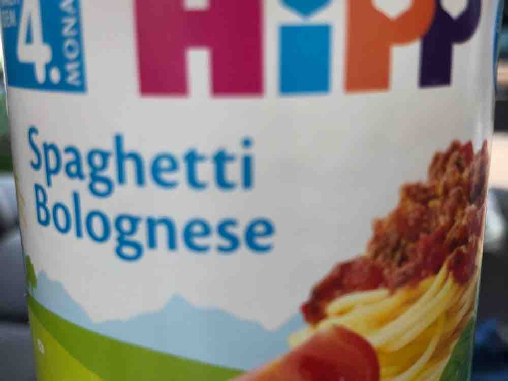 Spaghetti Bolognese  von fetti2 | Hochgeladen von: fetti2