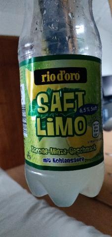 Saft Limo Zitrone Minze by Furao | Hochgeladen von: Furao