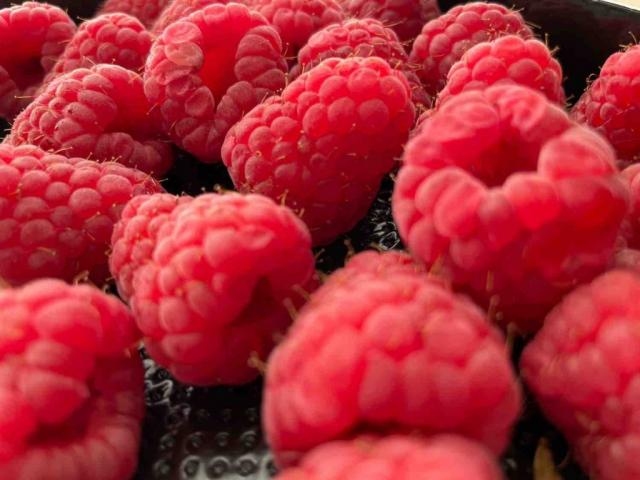 Raspberries by reginaborlestean | Uploaded by: reginaborlestean