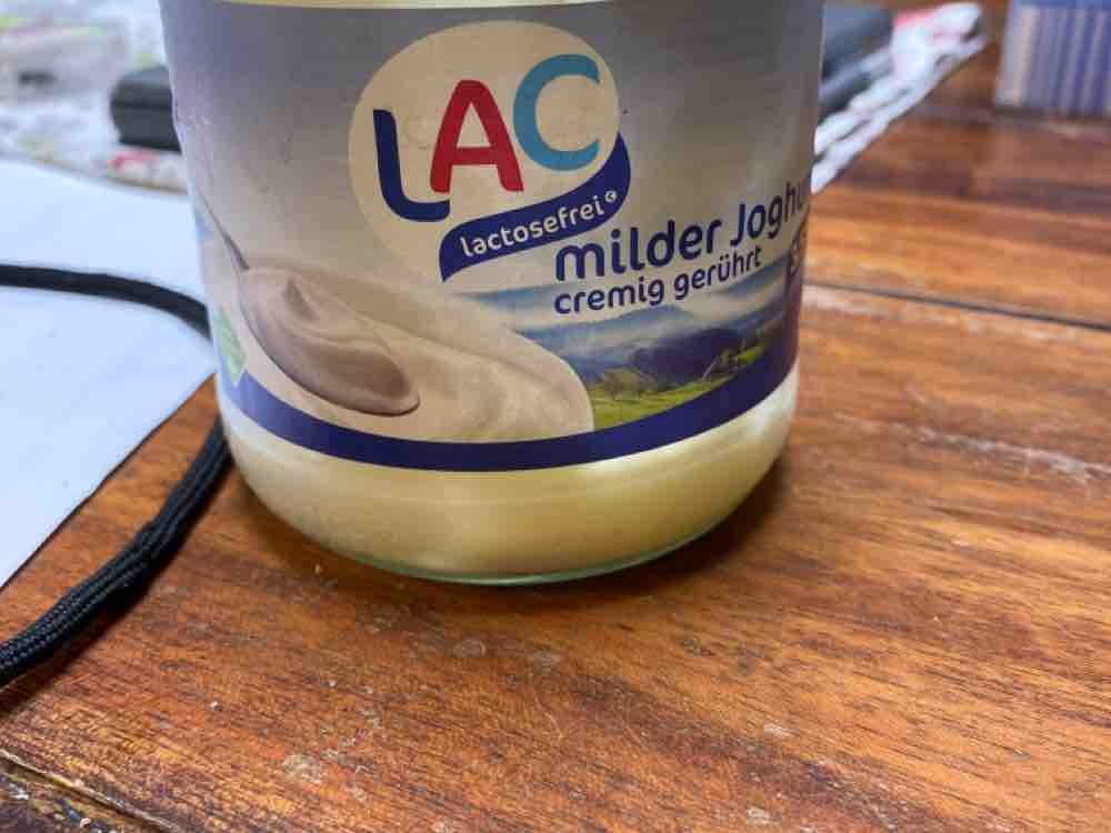 Laktosefreier Milder Joghurt, natur von MaSchuBee | Hochgeladen von: MaSchuBee