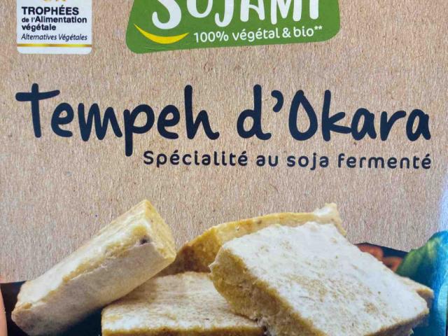 Tempeh d’Okara by louisaemp | Hochgeladen von: louisaemp