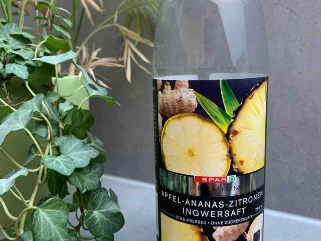 Apfel Ananas Zitronen Ingwersaft von Finns | Hochgeladen von: Finns