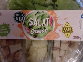 Salat Caesar | Hochgeladen von: jeehrich960