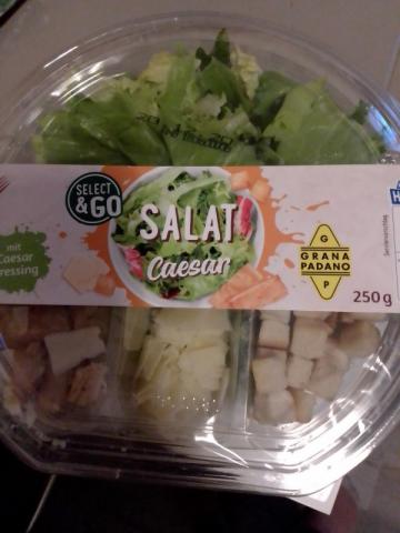 Salat Caesar | Hochgeladen von: jeehrich960