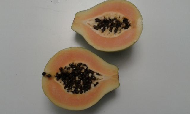 Papaya, frisch | Hochgeladen von: Misio