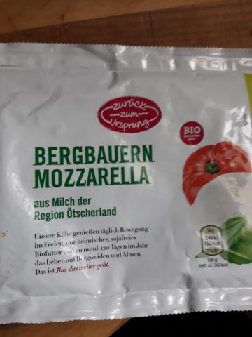 Bergbauern-Mozarella, 45% Fett von ninja1turtle2 | Hochgeladen von: ninja1turtle2