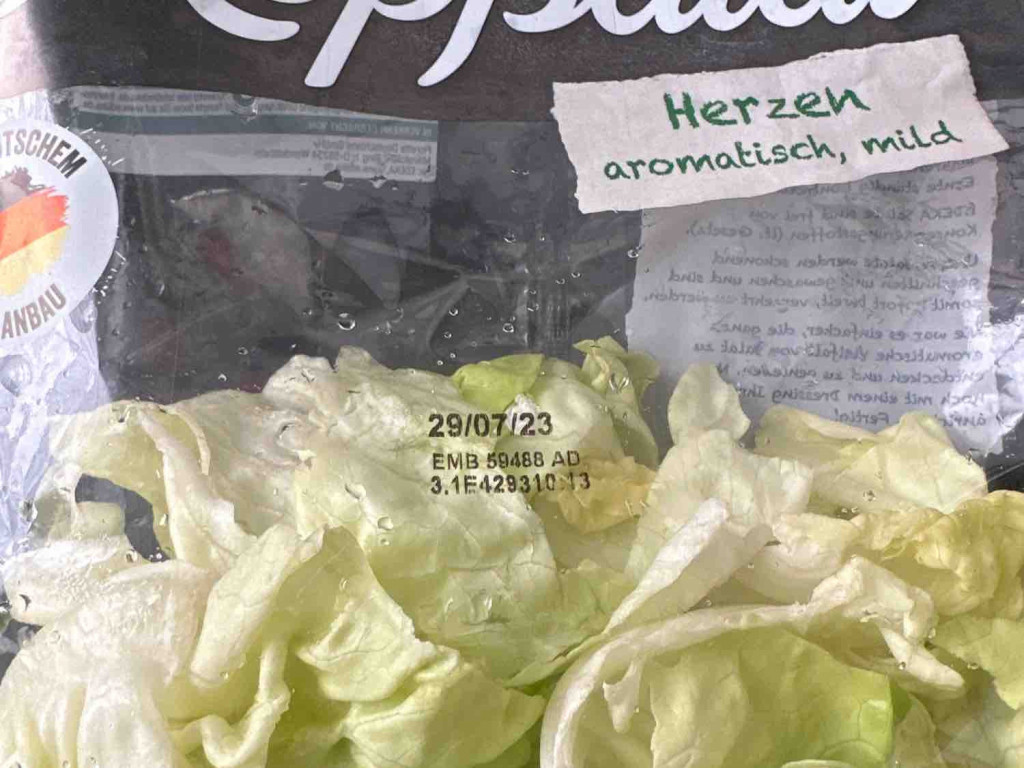Salat Pur Kopfsalat von Neogenetic | Hochgeladen von: Neogenetic